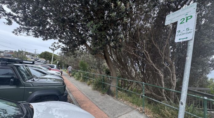 시드니 노스비치, 주차규정없는곳에 주차한 여성에 140달러 벌금 Karina parked her car here on a visit to the Northern Beaches and copped a $140 fine. (Supplied)_9news