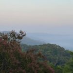 11.Thousands of NSW residents have woken up to the smell of smoke.﻿ (NSW Rural Fire Service)_9news