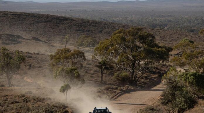 사우스오스트레일리아 4세 소년 수색 재개, 조부 체포 The renewed search will take place over two days. Picture NewsWire Brett Hartwig_NEWS.COM.AU