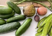 퀸즐랜드, 연 1만5000달러로 사는 부부 The couple grows food in their garden which keeps their food costs low. (Supplied)_9news