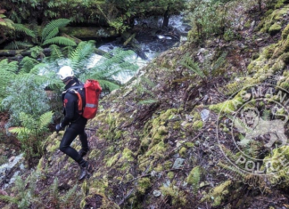 태즈마니아에서 실종된 배낭여행객 찾는 과정에서 유골, 치아, 자동차 열쇠 발견 Police are undertaking a renewed search. (Tasmania Police)_9news