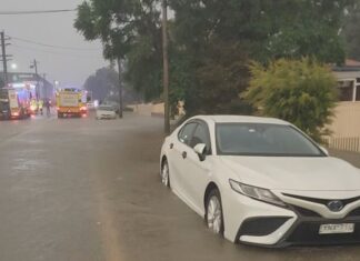폭우로 시드니 모스만 배수로 추락 사고 Heavy rain and floods have lashed parts of Sydney. (Nine)