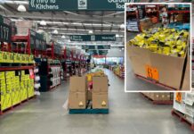 호주 SGAR 쥐약 판매 제한 결정 New regulations are set to restrict the sale of highly toxic rat baits, commonly sold by supermarkets and hardware stores. Source Yahoo News Australia