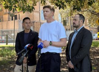 NSW 주, 의료용 대마 합법 운전 허용 여부 검토 Alex Greenwich, Will Tregoning and Jeremy Buckingham have supported the premier call to reform. Picture Abisha Sapkota_NEWS.COM.AU