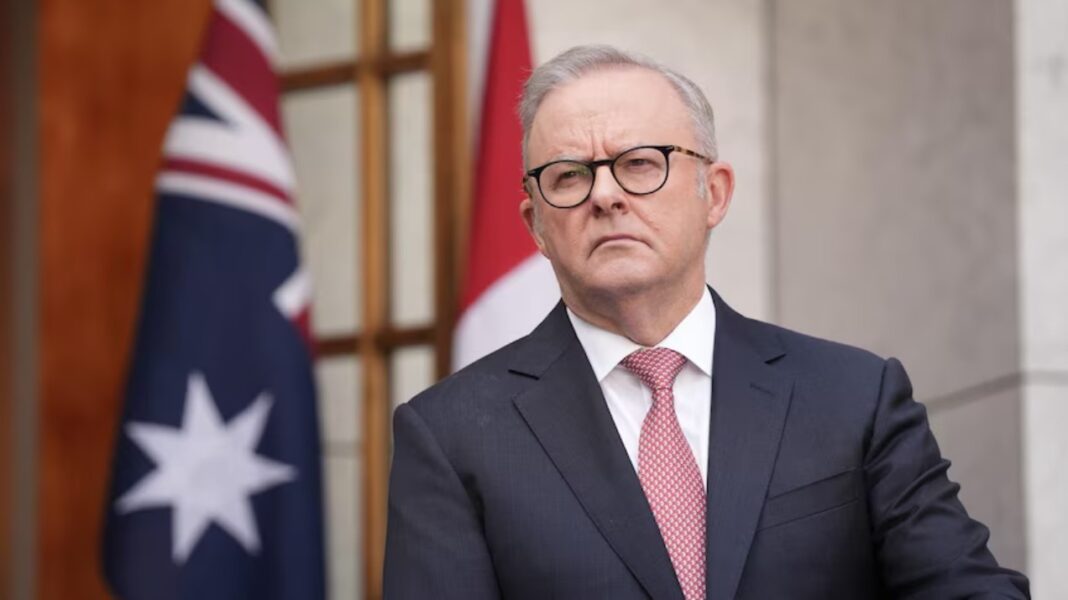 Anthony Albanese has named Anthea Harris as the taskforce's national coordinator. (ABC News Matt Roberts)_abcnews