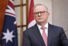 원네이션당 2028년 연방선거 집권당 도전 Anthony Albanese has named Anthea Harris as the taskforce's national coordinator. (ABC News Matt Roberts)_abcnews