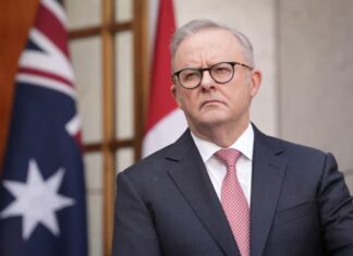 원네이션당 2028년 연방선거 집권당 도전 Anthony Albanese has named Anthea Harris as the taskforce's national coordinator. (ABC News Matt Roberts)_abcnews