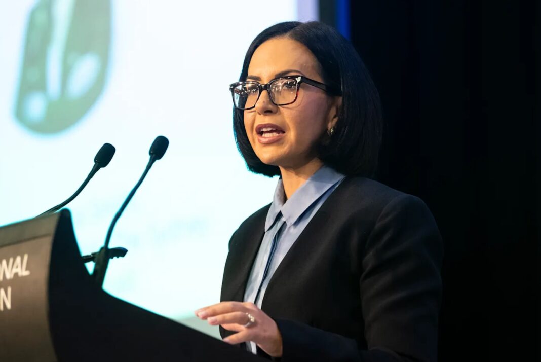 Education Minister Prue Car will detail how a new program called Inspire will ensure every school is challenging gifted students.Rhett Wyman_smh