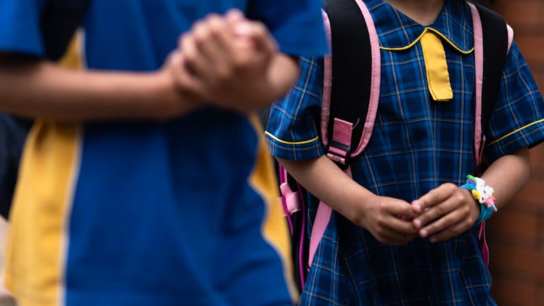 The national plan will have a particular focus on addressing cyberbullying and deepfakes. (ABC News Keana Naughton)_abc_news