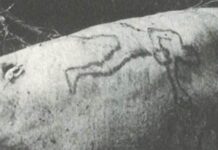 그때 그사건 – 1935년 4월 25일: 시드니 수족관에서 상어가 사람 팔을 토해내다 Jim Smith's arm had a distinctive tattoo on it. (Supplied)_9news