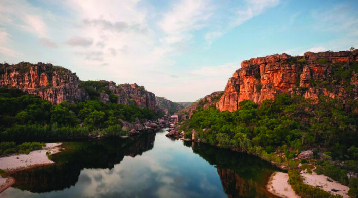 호주 Kakadu에서 국립공원 악어 알 절도 사건, 4명 기소…헬기 동원, 수백 개 알 탈취