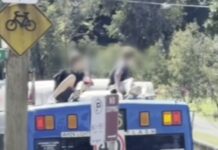 시드니 동부(Eastgardens~Bondi Junction)서 버스 지붕 탑승 10대 소년 2명, 경찰 수배 Police are seeking two boys who rode on the roof of a bus through eastern Sydney on Sunday, April 26. (Nine)