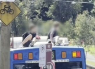 시드니 동부(Eastgardens~Bondi Junction)서 버스 지붕 탑승 10대 소년 2명, 경찰 수배 Police are seeking two boys who rode on the roof of a bus through eastern Sydney on Sunday, April 26. (Nine)