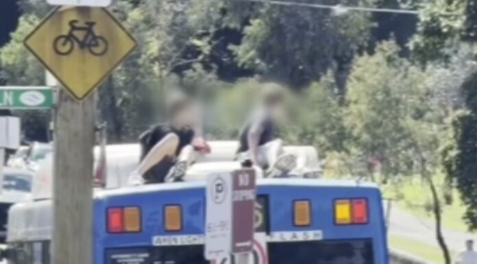 시드니 동부(Eastgardens~Bondi Junction)서 버스 지붕 탑승 10대 소년 2명, 경찰 수배 Police are seeking two boys who rode on the roof of a bus through eastern Sydney on Sunday, April 26. (Nine)