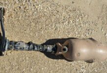 NSW 스콧츠헤드 해변서 발견된 미스터리 인공 다리, 주인에게 돌아가 The leg was found about four kilometres from the 4WD access point, where the receding tide uncovered it. (Supplied)_9news