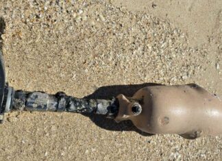 NSW 스콧츠헤드 해변서 발견된 미스터리 인공 다리, 주인에게 돌아가 The leg was found about four kilometres from the 4WD access point, where the receding tide uncovered it. (Supplied)_9news