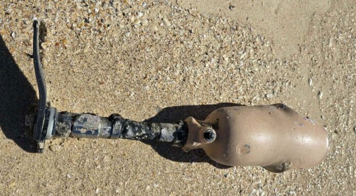 NSW 스콧츠헤드 해변서 발견된 미스터리 인공 다리, 주인에게 돌아가 The leg was found about four kilometres from the 4WD access point, where the receding tide uncovered it. (Supplied)_9news