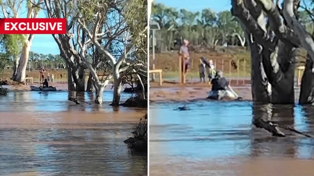 Carnarvon man survives 12 hours clinging to tree in raging floodwaters Credit 7NEWS