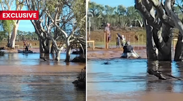사이클론 나렐 강타: 서호주 카나번 주민, 격렬한 홍수 속 나무에 매달려 12시간 생존 Carnarvon man survives 12 hours clinging to tree in raging floodwaters Credit 7NEWS