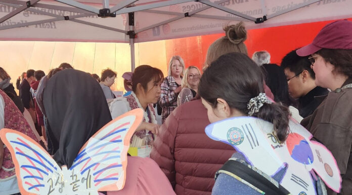 호주국립박물관 한류전 계기 한국문화축제 개최