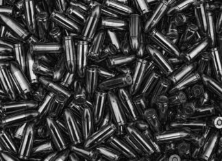 시드니 로즈 총기관련 혐의 남성 체포 jay-rembert_unsplash