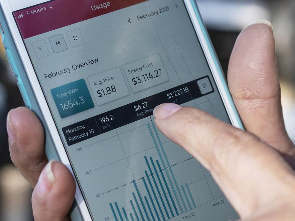 3.73.3 per cent of Australians are not on their retailer's cheapest offer, ACCC data shows. (AP)_9news 73.3 per cent of Australians are not on their retailer's cheapest offer, ACCC data shows. (AP)_9news