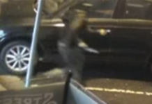 멜버른 새벽 길거리서 여성, 칼 위협에 차량 강탈당해 The woman was ambushed while waiting near a laundromat this morning. (Nine)