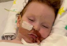 호주, 치명적 ‘케이크 장식용 먼지’ 전국 리콜… 어린이 혼수상태 사건 계기 A Queensland baker has sent a warning to parents after her toddler ingested cake decorating dust and ended up in an induced coma. (9News)