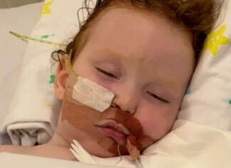 호주, 치명적 ‘케이크 장식용 먼지’ 전국 리콜… 어린이 혼수상태 사건 계기 A Queensland baker has sent a warning to parents after her toddler ingested cake decorating dust and ended up in an induced coma. (9News)