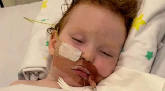 호주, 치명적 ‘케이크 장식용 먼지’ 전국 리콜… 어린이 혼수상태 사건 계기 A Queensland baker has sent a warning to parents after her toddler ingested cake decorating dust and ended up in an induced coma. (9News)