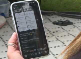 시드니 사기꾼 온라인 리뷰 조작으로 이사 업체 협박 시도 Gina started getting suspicious text messages. (9News)