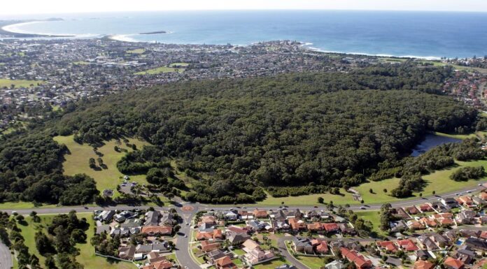 울릉공 드론 이용 마약 밀반입 사건, 남성 2명 기소 .Two men have been charged with allegedly smuggling drugs by drone over Wollongong in NSW. (Photo Andy Zakeli) (Sydney Morning Herald)_9news