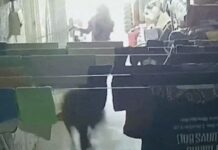 남호주 쿠버 페디서 캥거루 세탁실에 깜작 등장…소녀 깜짝 놀란 해프닝 Kangaroo hits 8-year-old girl as it bounds out of Coober Pedy laundry 9News