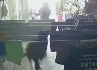 남호주 쿠버 페디서 캥거루 세탁실에 깜작 등장…소녀 깜짝 놀란 해프닝 Kangaroo hits 8-year-old girl as it bounds out of Coober Pedy laundry 9News