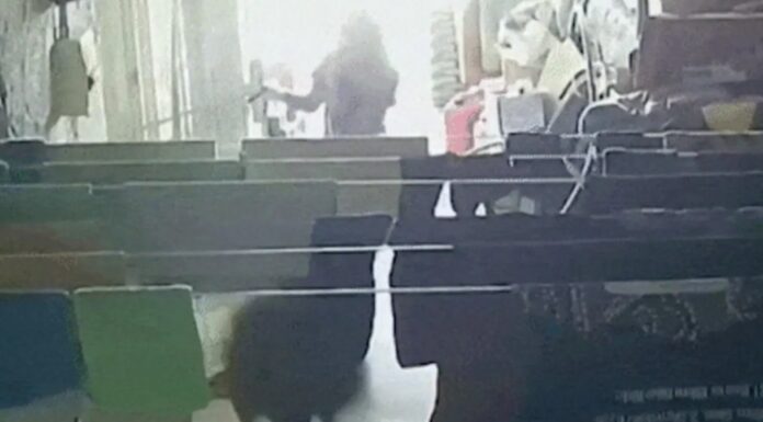 남호주 쿠버 페디서 캥거루 세탁실에 깜작 등장…소녀 깜짝 놀란 해프닝 Kangaroo hits 8-year-old girl as it bounds out of Coober Pedy laundry 9News