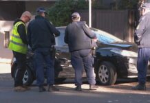 노스쇼어 차량 추격전 중 경찰관 부상 Police officer hurt after chase in leafy suburb 9News