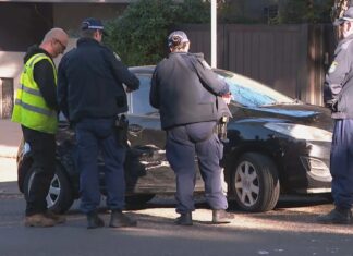 노스쇼어 차량 추격전 중 경찰관 부상 Police officer hurt after chase in leafy suburb 9News