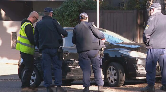 노스쇼어 차량 추격전 중 경찰관 부상 Police officer hurt after chase in leafy suburb 9News