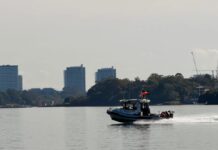 시드니 파라마타강서 부녀 숨진 채 발견… 경찰, ‘살해 후 자살’로 보고 수사 A man has been found dead on the water in inner Sydney. Supplied_9news