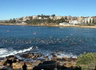 시드니 쿠지 비치, 상어 공격 이후 대규모 해양 수영 행사 열려 The community has come together for a swim-out at Coogee Beach after last Saturday's shark attack on Leah Stewart. Sam Worthington_9news