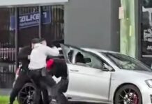 시드니 남서부 도로 한복판서 권총 겨눈 경찰… 칼부림 저항한 도주범 극적 체포 A driver has been pulled from his car at gunpoint by police in a dramatic arrest in Sydney’s south-west. 9News