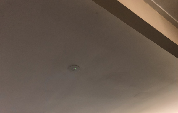 시드니 한인회 새 회칙 개정안 공청회 열띤 공방