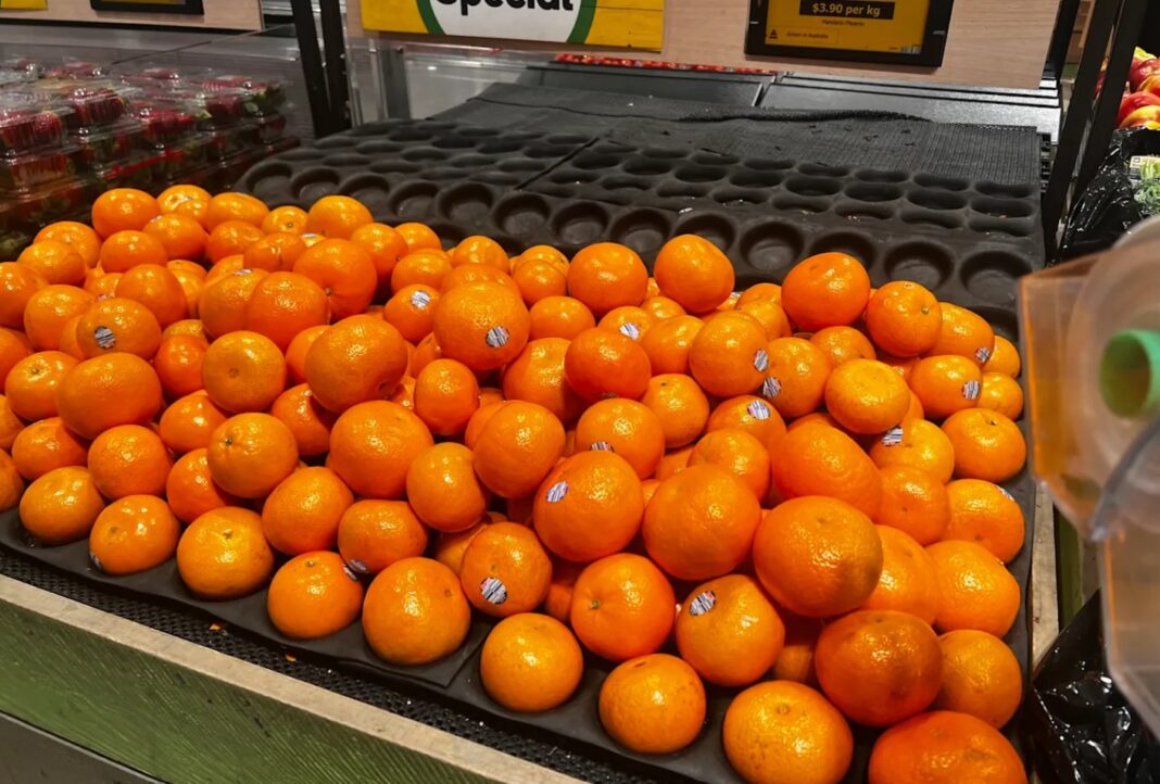 This year’s mandarin season has been described as ‘patchy’. Jo Abi_9NEWS