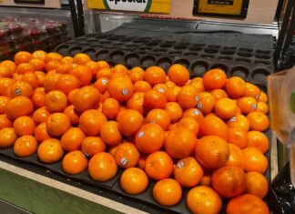 호주 겨울 대표 과일 귤, 악천후로 공급 부족 우려 This year’s mandarin season has been described as ‘patchy’. Jo Abi_9NEWS