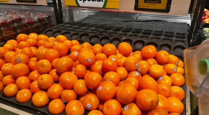 호주 겨울 대표 과일 귤, 악천후로 공급 부족 우려 This year’s mandarin season has been described as ‘patchy’. Jo Abi_9NEWS