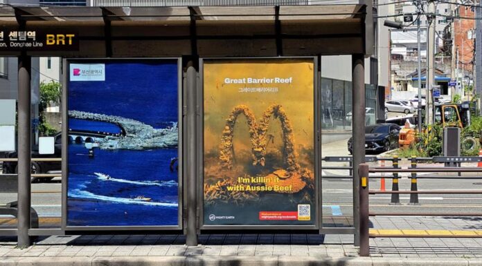 호주 환경단체, 부산서 ‘대산호초 구하기’ 이색 캠페인 전개 Australian activists in Korea launched but billboards during UNESCOs World Heritage Committee meeting. Picutre_Mighty Earth_Australian Conservation Foundation_news.com.au