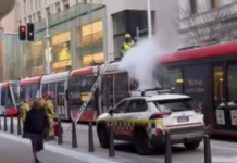 시드니 경전철, 연이은 연기 발생으로 운행 중단 Sydney light rail were suspended after two smoke incidents. Credit Instagram_7NEWS