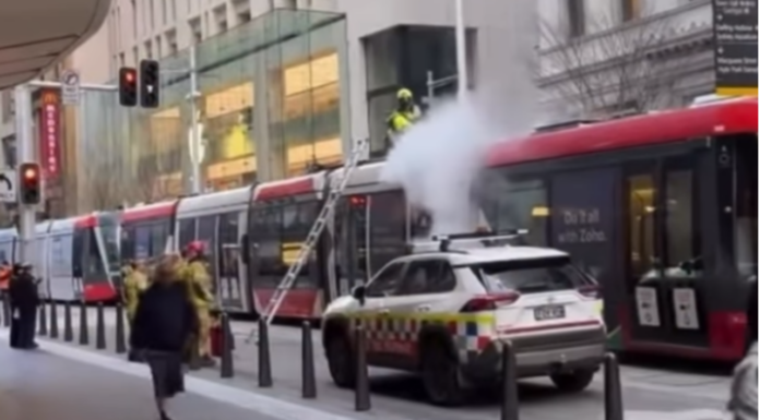 시드니 경전철, 연이은 연기 발생으로 운행 중단 Sydney light rail were suspended after two smoke incidents. Credit Instagram_7NEWS