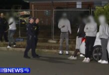 시드니 오스트랄 생일파티서 흉기 난투극 발생, 2명 부상·가해자 도주 Two teenagers were stabbed in a 70-person brawl after gatecrashers stormed a Sydney birthday party, booked at a short-term rental. Nine