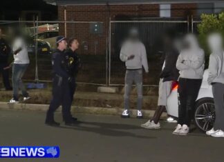 시드니 오스트랄 생일파티서 흉기 난투극 발생, 2명 부상·가해자 도주 Two teenagers were stabbed in a 70-person brawl after gatecrashers stormed a Sydney birthday party, booked at a short-term rental. Nine